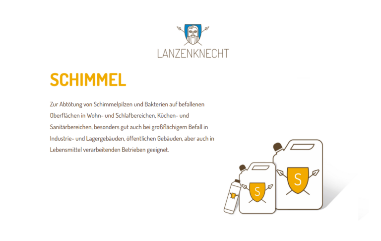 schimmel entfernung 768x485